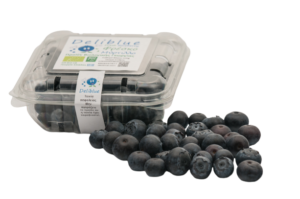 Blueberries Blueberries