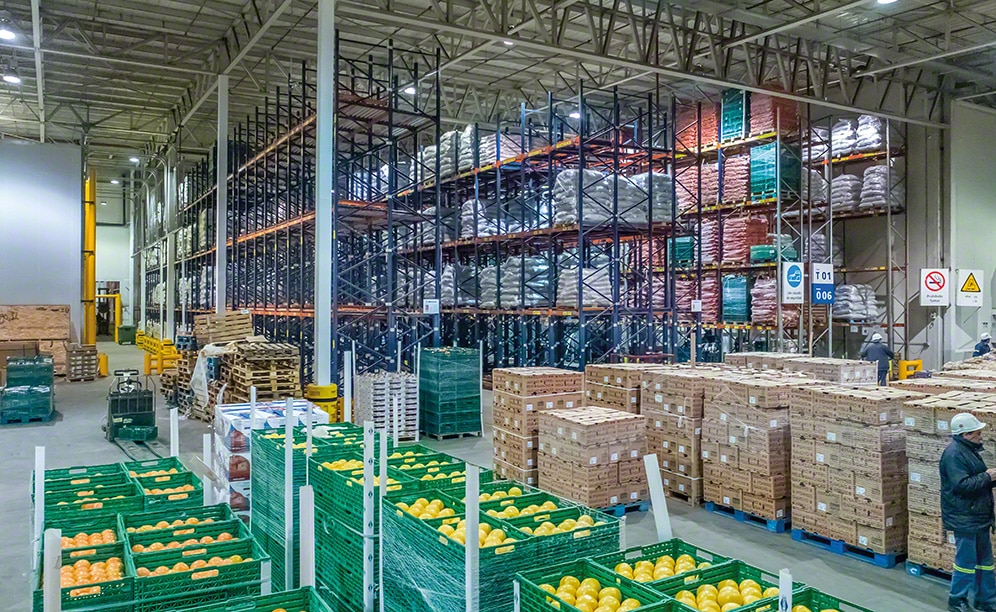 fresh-fruit-warehouse