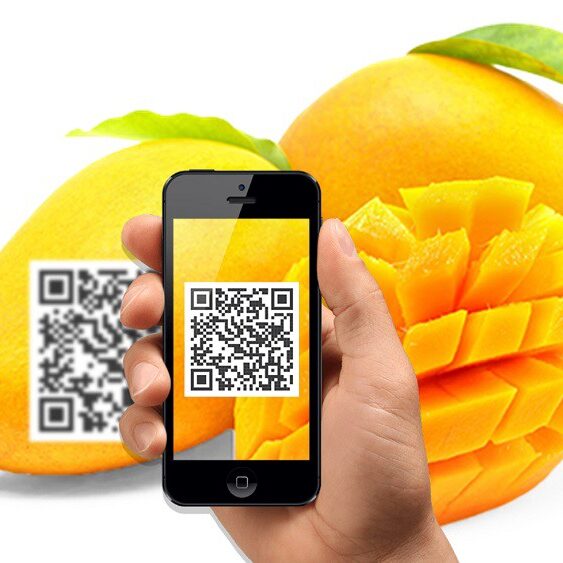 traceability traceability