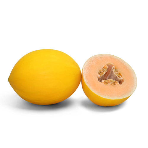 Eskimo-melon