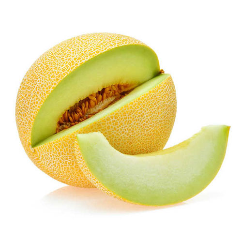 Galia_Melon